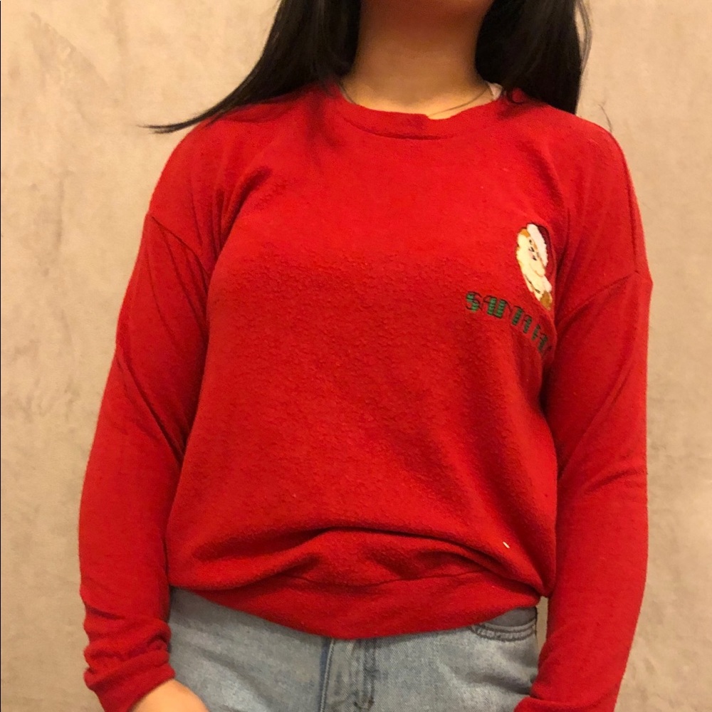 christmas “santa paws” sweater